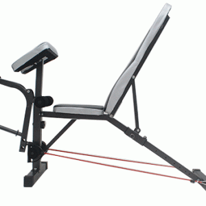 Gym Multi-Purpose Workout Bench