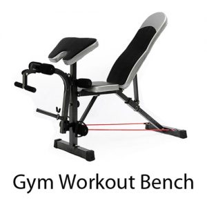 Gym Multi-Purpose Workout Bench
