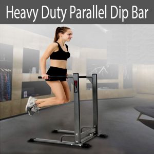 Heavy Duty Parallel Dip Bar