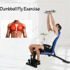 Dumbbell Fly Exercise