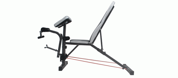 Gym Multi-Purpose Workout Bench