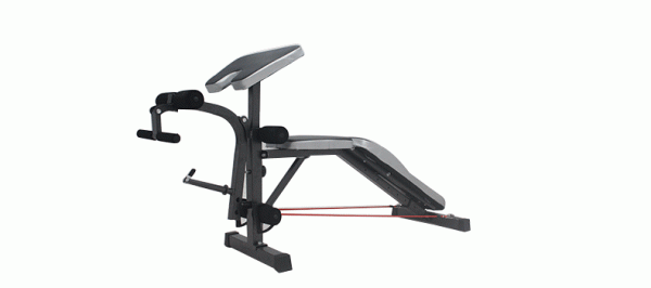 Gym Multi-Purpose Workout Bench