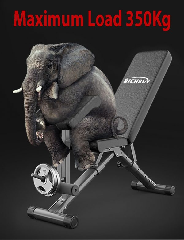 Gym Multi-Purpose Sit Up Workout Bench