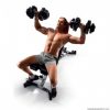 Bowflex Dumbbell 552