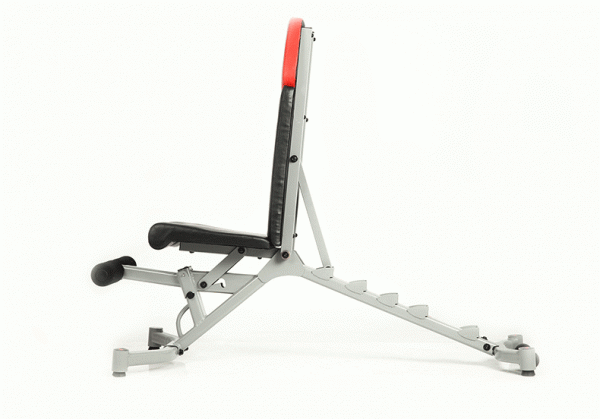 Bowflex 5.1 Workout Bench
