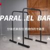 Parallel Dip Bar