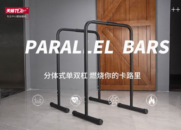 Parallel Dip Bar